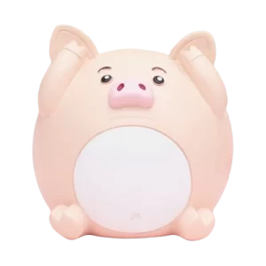 Tirelire Cochon <br> Dalle N&rsquo;a Rien Entendu