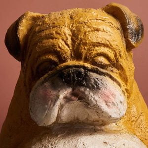 Tirelire Chien <br> English Bulldog